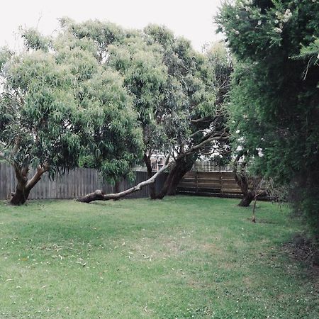 Red Ceder Cottage - Great Ocean Road - Port Campbell Exterior photo